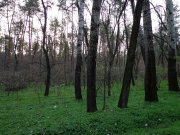 DSC00519.JPG