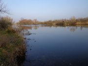 DSC00520.JPG
