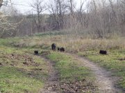 DSC00525.JPG