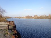 DSC00536.JPG