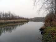 десна1.jpg