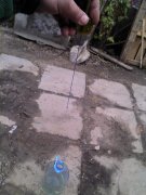 IMG_20121116_122420.jpg