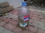 IMG_20121116_121819.jpg