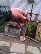IMG_20121116_122429.jpg