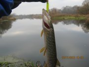 IMG_0454.JPG