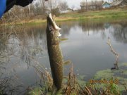 IMG_0458.JPG