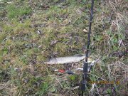 IMG_0459.JPG