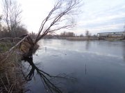 DSC00560.JPG