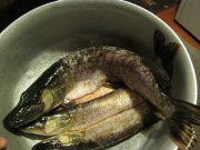 IMG_0348333.jpg