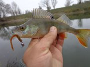 DSC00569.JPG