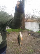 20121124_110659.jpg