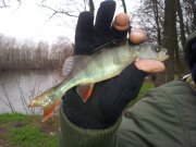 20121124_111825.jpg