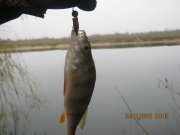 IMG_0460.JPG