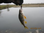 IMG_0464.JPG
