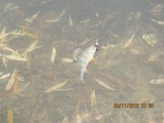 IMG_0465.JPG