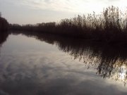 DSC04999.JPG