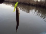 DSC05000.JPG