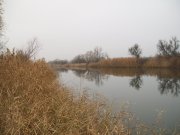 100_4137.JPG