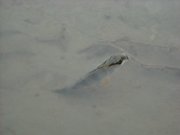 DSCN0499.JPG