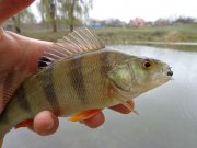DSC00592.JPG