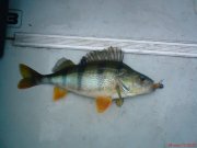 DSC00375.JPG