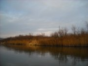 DSCN0499.JPG