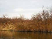 DSCN0497.JPG