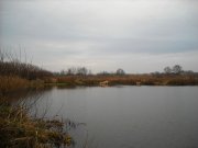 DSCN0492.JPG