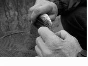 DSCN2309_bw_thumb.jpg