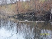 100_2598_thumb.jpg
