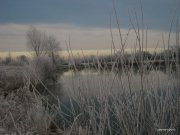 2-IMG_0018.JPG