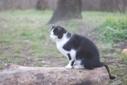 DSC_3752.JPG