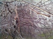 07122012518.jpg