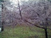 07122012516.jpg