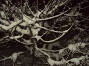 DSC05030.JPG