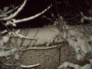 DSC05031.JPG