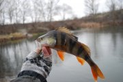 DSC_3777.JPG