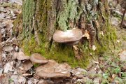 DSC_3784.JPG