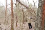 DSC_3787.JPG