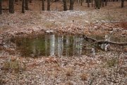DSC_3788.JPG