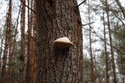 DSC_3791.JPG
