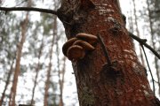 DSC_3792.JPG
