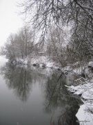 03-IMG_0004.JPG