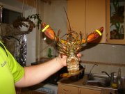DSC04882.JPG