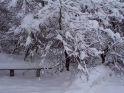 DSC05056.JPG
