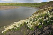011-harius-aqua-blesna-vobler.jpg