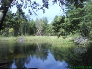 DSC00997.JPG