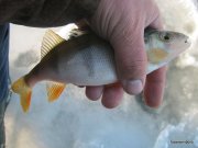 3-IMG_0005.JPG
