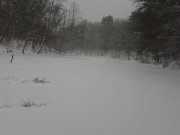 IMG_20121216_110518.jpg