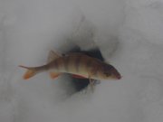 IMG_20121216_120937.jpg
